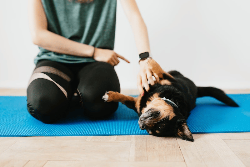 A woman training her dog