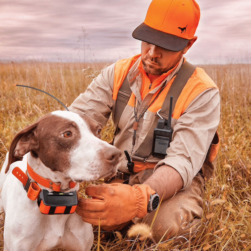 A man taking care of a dog