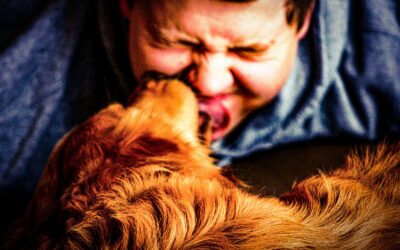 Why Does My Dog Lick Me So Much? 8 Reasons Behind This Behavior