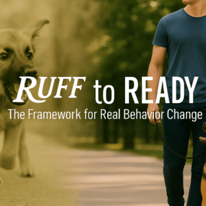 ruff to ready