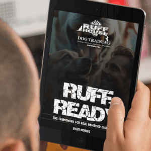 Ruff to Ready - eBook