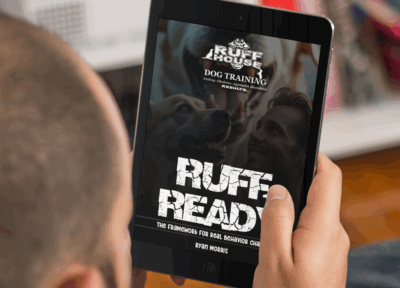 Ruff to Ready - eBook