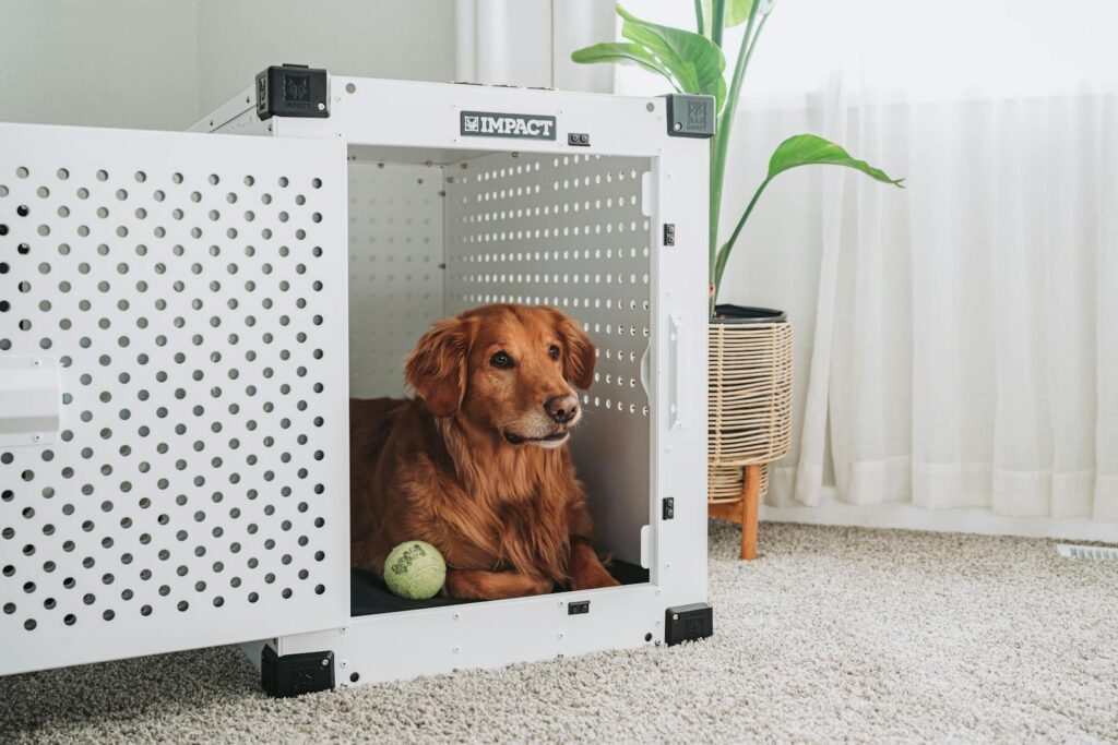 Impact Dog Crates