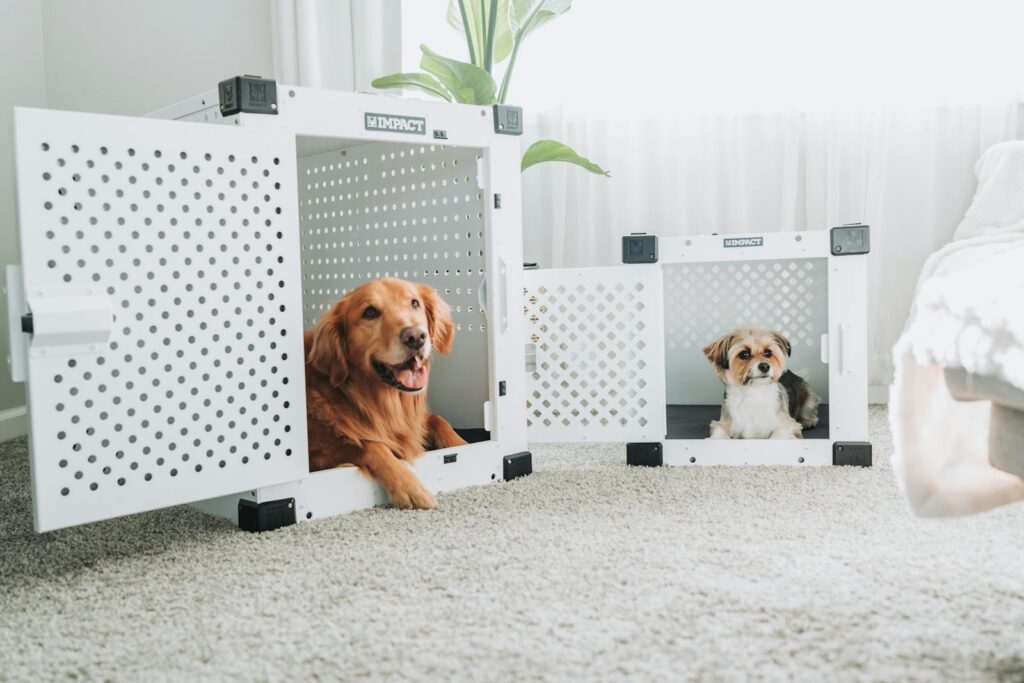 crate training