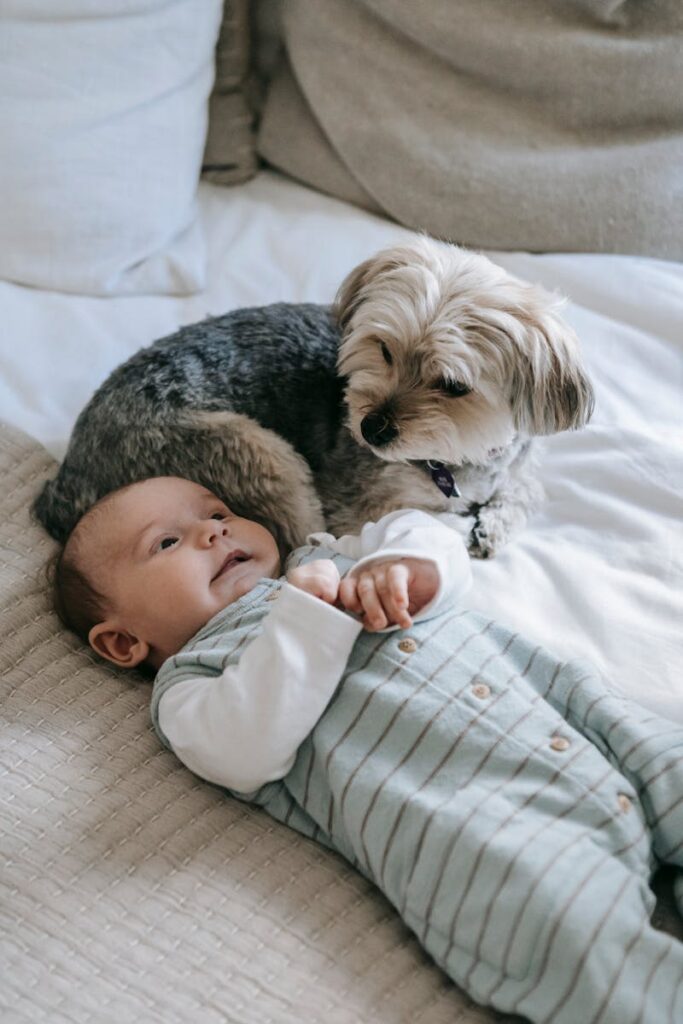 A cute baby and a Morkie dog lying together on a cozy bed indoors.