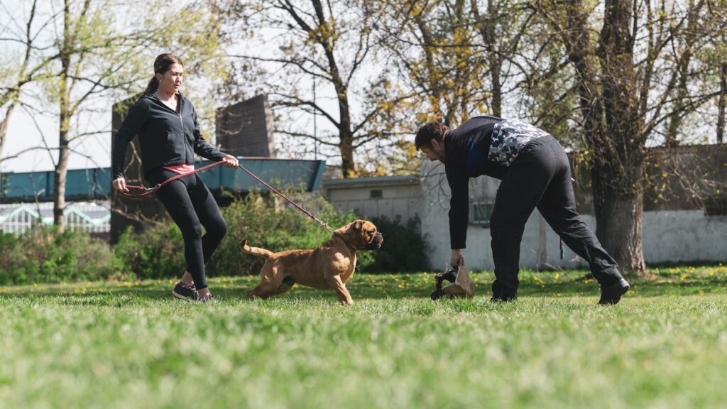 woman in gray long sleeve shirt and black pants holding brown short coated dog