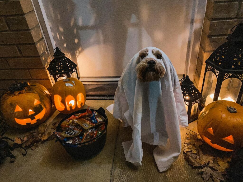 Cute dog in ghost costume with pumpkins and lanterns, perfect for festive Halloween themes.