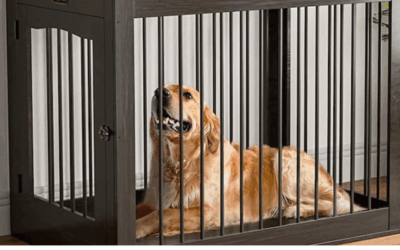 Dog Crate Training in Northern Virginia: Creating Structure and Comfort for Your Dog