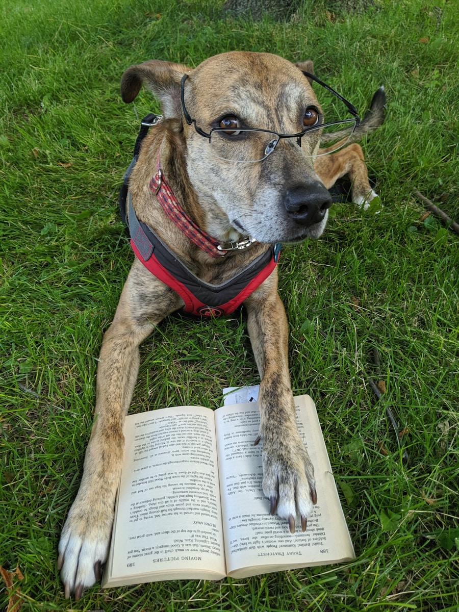 dog training books