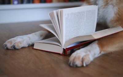 Dog Training Methods: Consistency is the Most Important Method