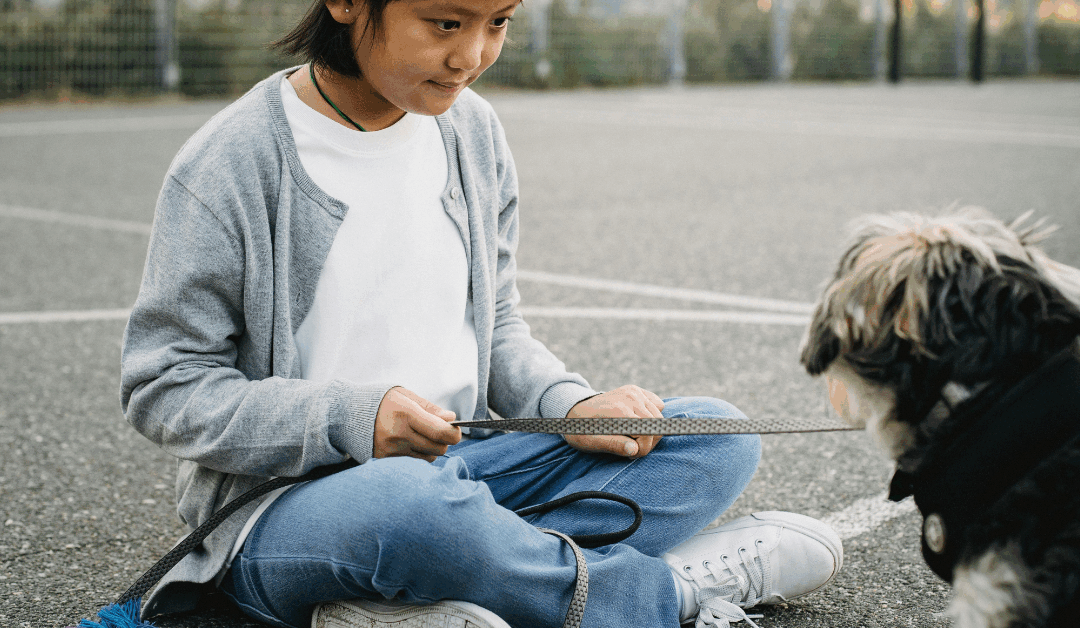 How to Choose the Right Dog Obedience Training Program in Maryland’s Suburbs