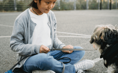 How to Choose the Right Dog Obedience Training Program in Maryland’s Suburbs