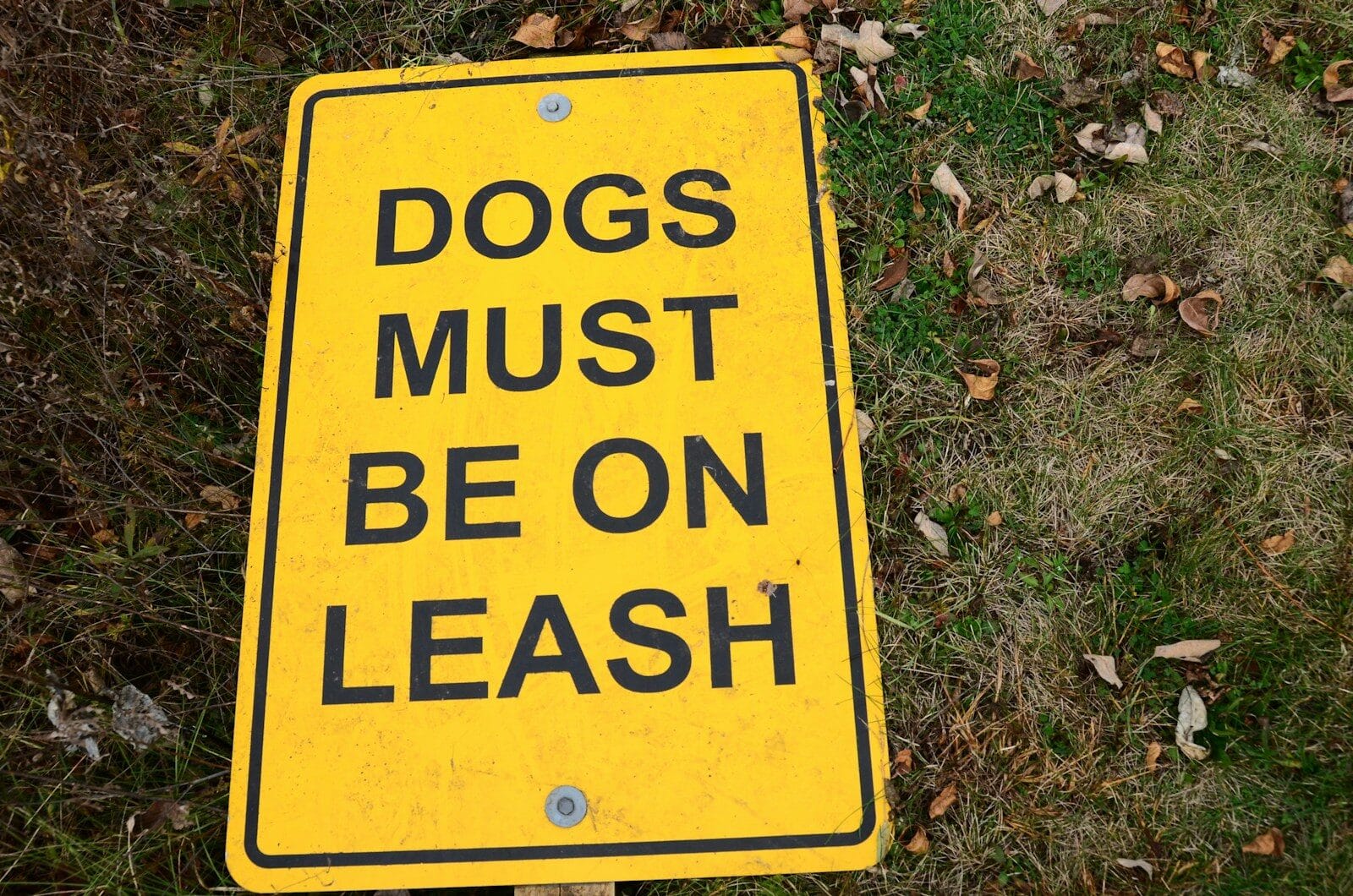a yellow sign that says dogs must be on leash