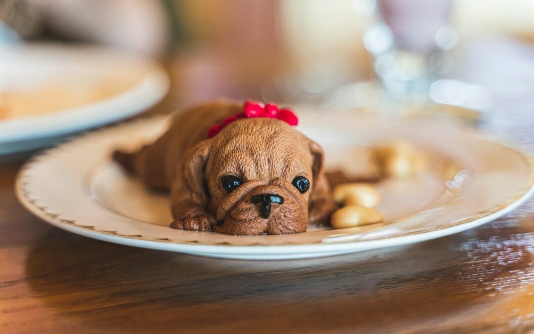 A Guide to Dog Friendly Restaurants in Your City