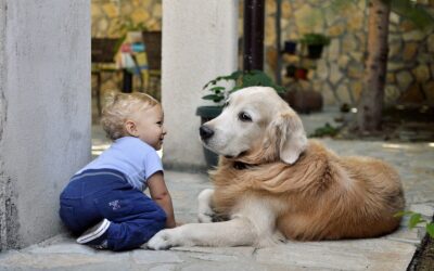 The Lifespan of Dogs: How Long Can Dogs Live?