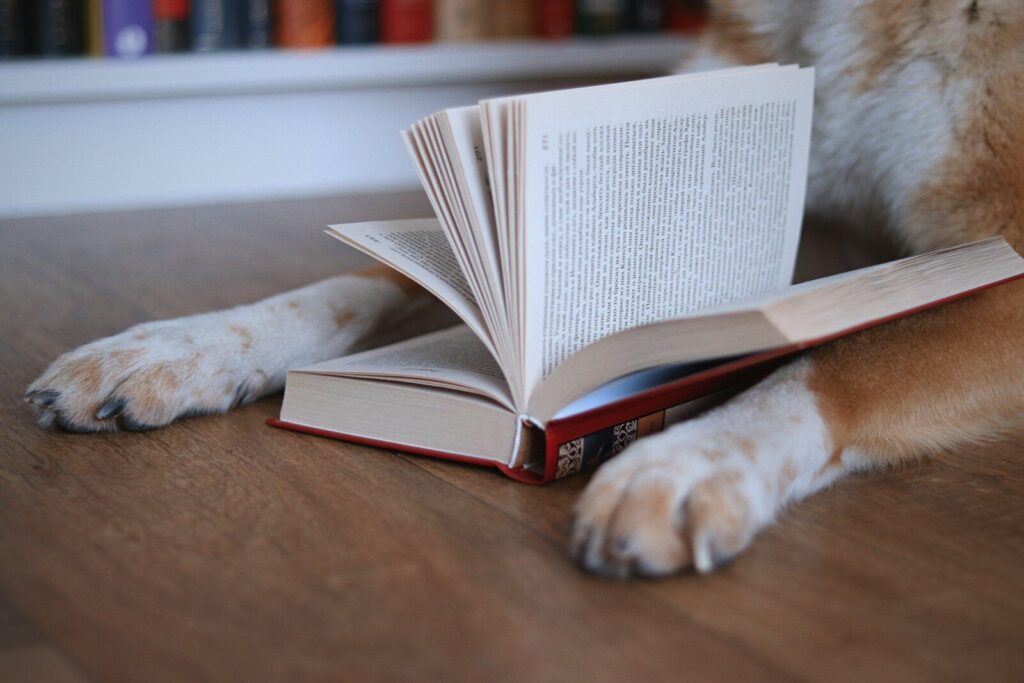 Dog paws resting on an open book