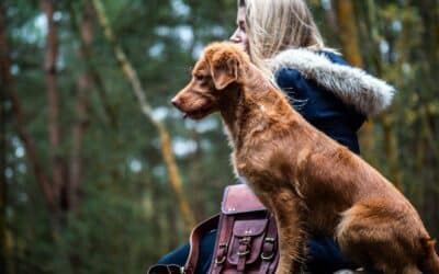 Petiquette Tips: How to Be a Good Dog Owner