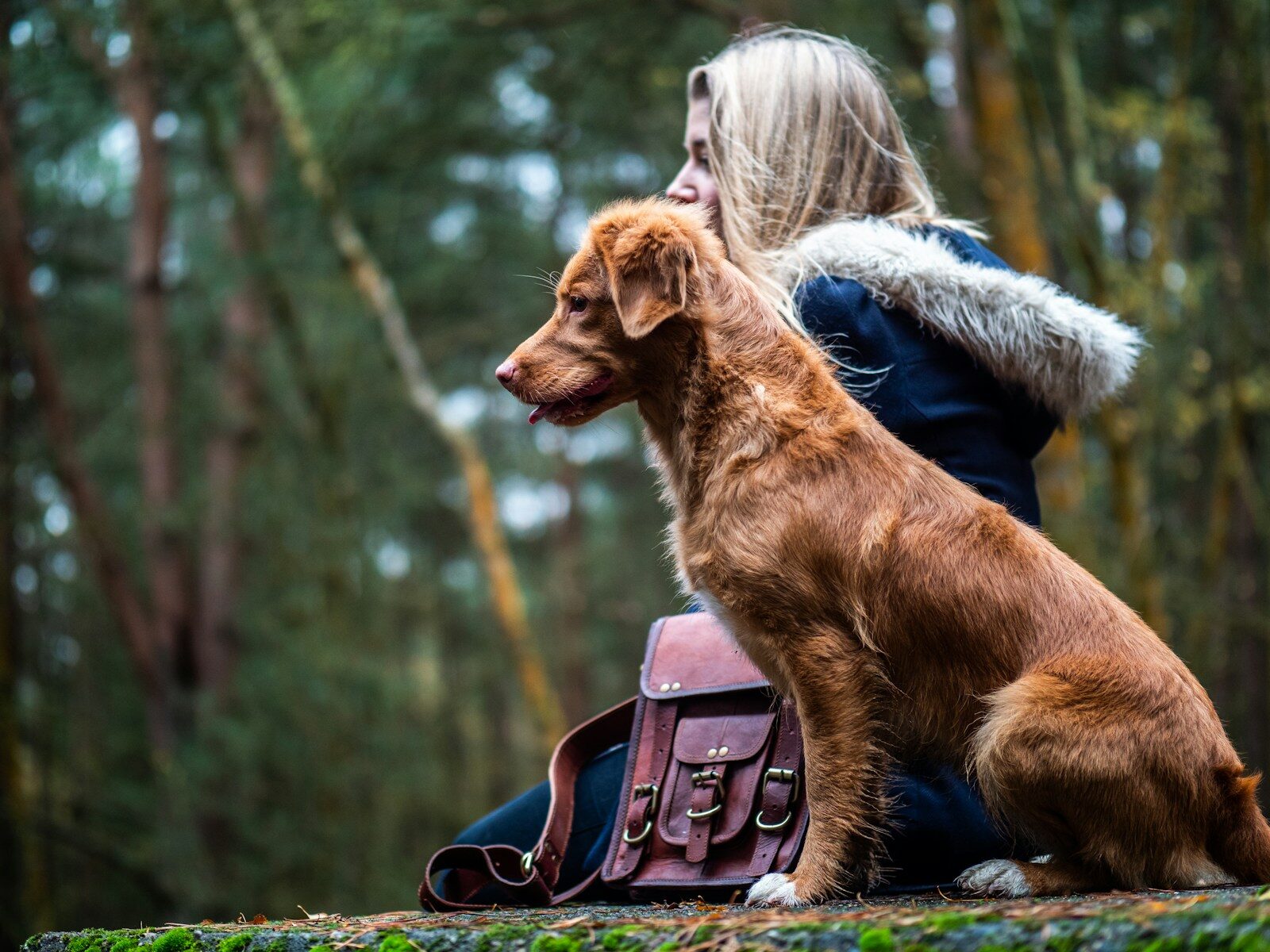 Photo by Jamie Street woman sitting beside tan dog on forest