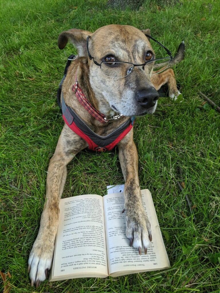 dog training books