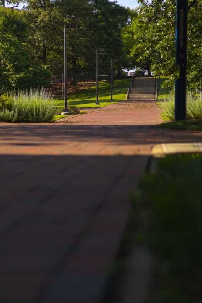 a park with a bench and trees on the side of the road