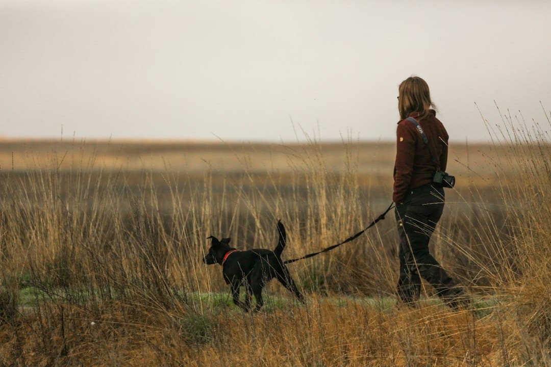 How I Teach Loose Leash Walking