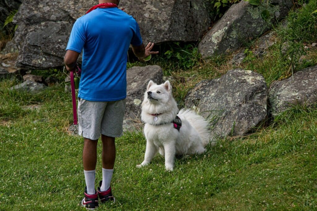 a man and a dog